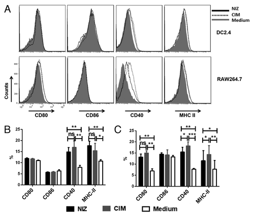 Figure 1. Effects of NIZ on APC activation in vitro. DC line DC2.4 and macrophage line RAW264.7 were treated with NIZ or CIM for 48 h. (A) The cells were immunostained for MHC-II, CD80, CD86 and CD40 and analyzed by FACS. (B) The percentage of cells bearing the markers in the DC2.4 cell line, summarized as the means of three independent experiments. (C) The percentage of cells bearing the markers in the RAW264.7 cell line summarized as means of three independent experiments. Cell fluorescence was gated for analysis and all data are presented as mean ± SD *P < 0.05, **P < 0.01 compared with medium treated cells.