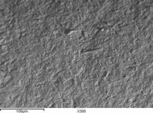 Figure 9 Photomicrograph of untreated zirconia dowel surface (original magnification 300).