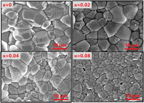 Figure 4. Scanning electron microscopy (SEM) image of SNLTx ceramics sintered at (1300°C). The scale bar represents 10 micrometers, and the image was acquired at 10000x magnification. The images exhibit a uniform and dense distribution with different grain sizes.