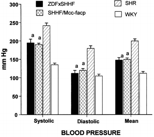 Figure 1. Blood pressure in 46 weeks old ZDFxSHHF, SHHF, SHR and WKY rats (1-F Anova, p < 0.05; a - vs SHR and WKY).