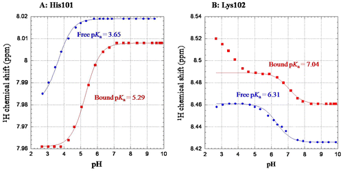 Fig. 4. pH titration curves obtained by monitoring 1H–15N HSQC resonances of His101 (A) and Lys102 (B) in the absence or presence of 5 mM of (GlcNAc)3.