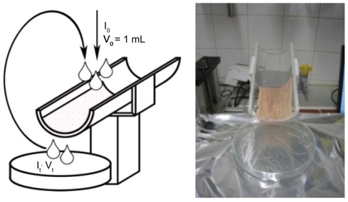 Figure 2 Falling Liquid Film technique to measure the mucoadhesion of coated and uncoated liposomes.