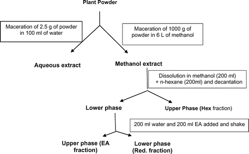 Figure 1. General procedure of plant extracts and fractions preparation.
