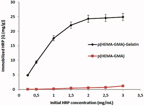 Figure 4. Effect of initial HRP concentration on immobilization of HRP. Gelatin loading: 65.3 mg/g; pH: 7.5; T: 25°C.