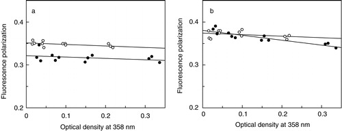 Figure 6. Representative plots of fluorescence polarization as a function of optical density. The plots represent the fluorescence polarization of (a) DPH and (b) TMA-DPH for native membranes (○) which serve as control and 0.6 mM digitonin-treated membranes (•) upon dilution with 50 mM Tris, pH 7.4 buffer. Fluorescence polarization was calculated as described in Materials and methods at 23°C. The solid lines are linear fits to the data with the intercept on the ordinate (y-axis) considered as the corrected fluorescence polarization Citation[39]. The plots are data from at least three independent experiments. See Materials and methods for other details.