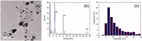 Figure 4. Typical TEM micrograph of the obtained AgNPsC (a), EDS of AgNPsC (b), and size distribution obtained by TEM (c).