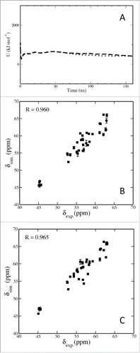 Figure 1. Calculated cumulative potential energy (U) for Aβ42 in aqueous solution with a water layer of 20 Å (dashed line) and 30 Å (dotted line) for 160 ns, respectively (A); correlation of calculated and experimental Cα chemical shift values obtained from Dr. Michael Zagorski for Aβ42 in an aqueous solution with a water layer of 20 Å (B) and 30 Å (C), respectively.