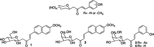 Figure 1. C-cinnamoyl glycoside inhibitors.