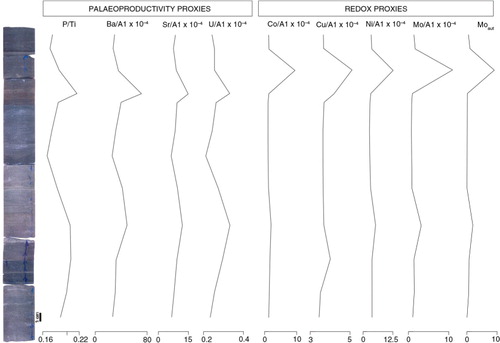 Fig. 6  Detailed stratigraphic distribution of the palaeoproductivity and redox proxies in interval 1 (222.66–222.30; 34 cm thick) of the studied section.