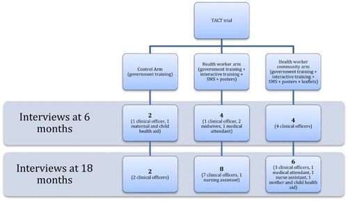 Figure 1. TACT trial – interviews.