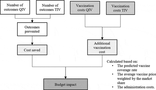 Figure 2. Diagram of the prospective module. QIV = quadrivalent influenza vaccine; TIV = trivalent influenza vaccine.