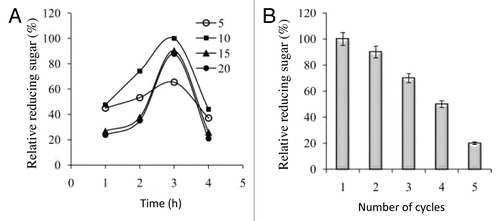 Figure 2. (A) The optimization of poultry feed at different enzyme doses (5–20 IU/g) with respect to time interval (1–4 h) in releasing reducing sugars. (B) Reusability of the immobilized xylanase in releasing reduced sugars from poultry feed at 50% consistency.