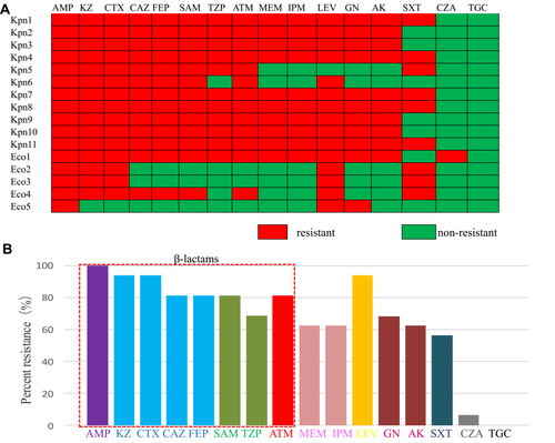 Figure 1 Antimicrobial susceptibility profiles of the 16 polymyxin-resistant isolates. (A) Heatmap showing the resistance phenotypes of each of the isolates. (B) Percentage of strains resistant to the tested antibiotics.