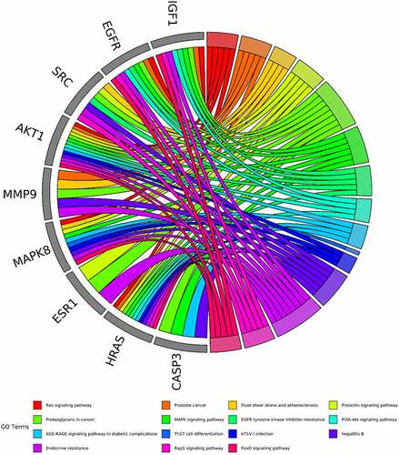 Figure 6. The top 15 pathways of hub genes