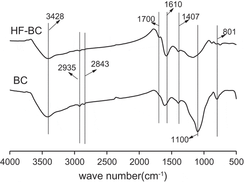 Figure 2. FTIR spectra of the BC and HF-BC.
