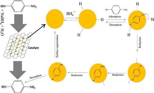 Figure 9. Proposed mechanism for the catalytic reduction of 4-NP with NaBH4 at the surface of Co nanoparticles.