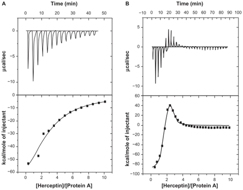 Figure 7 Isothermal titration calorimetry thermograms for interactions of protein A with (A) free antibody and (B) antibody attached to nanoparticles.