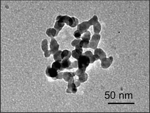 FIG. 1 Transmission electron micrograph image of flame-generated tin dioxide nanoparticle cluster.