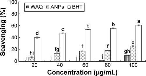 Figure 10 Nitric oxide scavenging potential of ANPs.Note: Different superscript letters indicate significant differences in the mean at P<0.05.Abbreviations: ANPs, gold nanoparticles; BHT, butylated hydroxyl toluene; WAQ, watermelon aqueous extract.