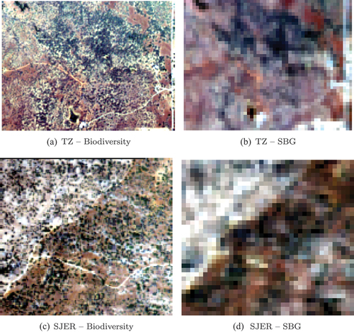 Figure 3. Color compositions of the synthetic hyperspectral images over TZ and SJER for June 2014.