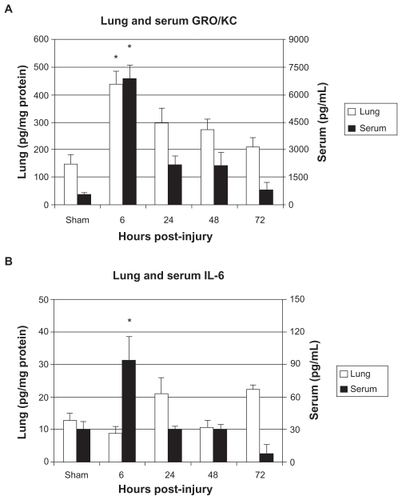 Figure 5 Serum and lung levels of A) GRO/KC and B) IL-6.Notes: Data is shown as mean ± SE M for the sham surgery group as well as the 6, 24, 48, and 72 hours post-injury groups. * P < 0.05, when compared with sham group, one-way AN OVA with Tukey’s post-hoc test.