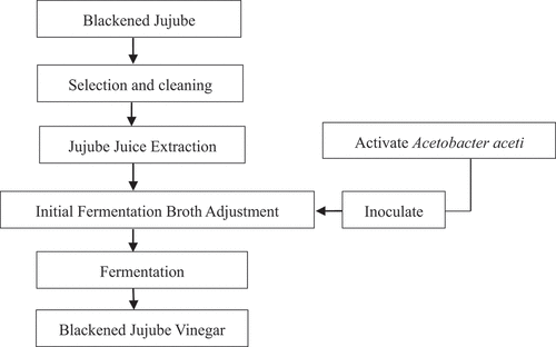Figure 1. Flow chart of Fermentation process of BJV.