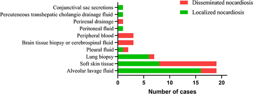 Figure 2 Sample distribution of Nocardia species in this study.