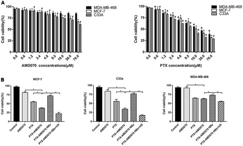 Figure 5 Examination of tumor proliferation suppression ability in vitro using CCK-8 assays. (A) Tumor proliferation suppression ability of AMD070 and PTX at different concentrations. *The survival rate of MCF-7 cells was significantly different from that of cells without drug treatment (P<0.05). #The survival rate of C33a cells was significantly different from that of cells without drug treatment (P<0.05). ▲The survival rate of MDA-MB-468 cells was significantly different from that cells without drug treatment (P<0.05). (B) Tumor proliferation suppression outcome in different treatment groups. *There was a significant difference in cell survival rate between the two groups (P<0.05).Abbreviations: NBs, nanobubbles; PTX, paclitaxel; US, ultrasound.