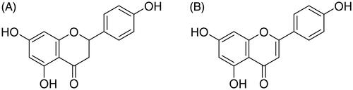 Figure 1. Structures of naringenin (A) and apigenin (B).