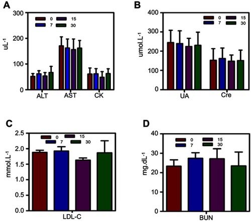 Figure S6 Liver function (ALT, AST), renal function (BUN, UA, Cre), and heart function (CK, LDL-C) of mice before injection and at 7-day, 14-day, 30-day after intravenous injection of F3-PLGA@MB/Gd