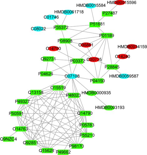 Figure 5 Metabolite-protein interaction network analysis. Rectangles represent proteins and ellipses represent metabolites, of which red represents the metabolites that are up-regulated in psoriasis, blue represents the metabolites that are down-regulated in psoriasis, and green represents other substances that interact with the database.