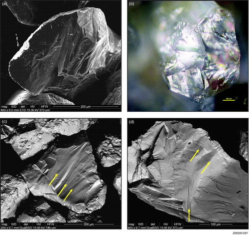 Figure 24. Quartz grain micromorphology for the Sheehan Tillite Member at Parabarana Hill reference section. (a) Conchoidal fractures on edge of rounded grains. (b) Grain with multiple conchoidal fractures. (c) Sharp-edged conchoidally fractured grain exhibiting grooves and striae (arrowed). (d) Conchoidally fractured grain subsequently grooved and striated (arrowed).