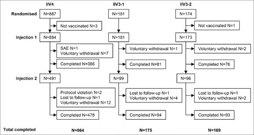 Figure 1. Study design and patient flow. Participants were randomized 5:1:1 to receive IIV4, IIV3-1, or IIV3-2. IIV4 contained the 4 Northern Hemisphere 2013/2014 influenza strains recommended by the World Health Organization and the European Union: A/California/7/2009 (H1N1), A/Texas/50/2012 (H3N2), B/Brisbane/60/2008 (B Victoria lineage), and B/Massachusetts/02/20122012 (B Yamagata lineage). IIV3-1 contained both A strains and the B Victoria lineage strain. IIV3-2 contained both A strains and the B Yamagata lineage strain. All participants received one vaccination at day 0. Participants who had not received 2 doses of seasonal influenza vaccine during a previous season (i.e., unprimed participants) received a second dose of vaccine on day 28.