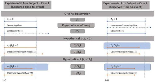 Fig. 3 Diagram representing the results shown in Proposition 1b and counterfactual elicitation for the assessment of Effect 2.