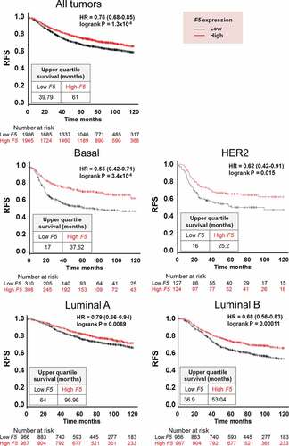 Figure 7. Relapse-free survival in breast cancer patients stratified by F5 expression in tumors.