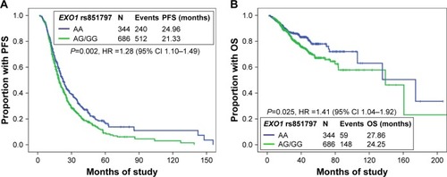 Figure 1 EXO1 genotypes predict clinical outcomes in Chinese ovarian cancer patients. EXO1 rs851797 AG/GG genotypes were significantly associated with poor (A) progression-free survival (PFS) and (B) overall survival (OS).