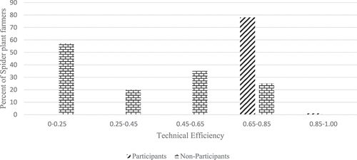 Figure 3. Distribution of technical efficiency for spider plant farmers