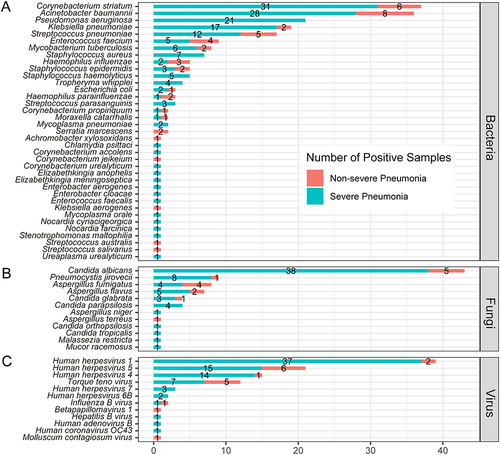 Figure 4 Comparison of microorganisms detected by mNGS between non-severe and severe pneumonia patients in bacteria (A), fungi (B) and virus (C) levels.