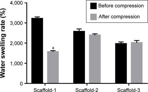 Figure 9 The water swelling rate of the silk fibroin/chitosan/nano-hydroxyapatite scaffolds with gradient pore diameters before and after compression.Note: aP<0.05, vs water swelling rate before compression.