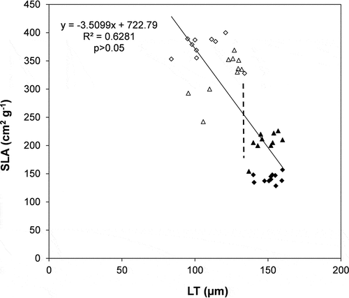 Figure 2. Regression analysis between specific leaf area (SLA) and total leaf thickness (LT). Regression equation, determination coefficient (R2) and significance level (p) are shown. (∆ = Ailanthus altissima shade condition; ◊ = Robinia pseudoacacia shade condition; ▲ = Ailanthus altissima sun condition; ♦ = Robinia pseudoacacia sun condition). The perpendicular, broken line separates the values of shade leaves (upper left part) and sun leaves (lower right part).