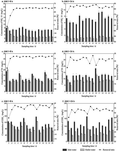 Figure 5. The concentration (bar graphs) and removal ratios (line charts) of different pollutants in the bio-enhancement group under different hydraulic retention time (abbreviated as HRT). (a) NH4+-N, HRT was 8 h. (b) NH4+-N, HRT was 24 h. (c) TN, HRT was 8 h. (d) TN, HRT was 24 h. (e) CODCr, HRT was 8 h. (f) CODCr, HRT was 24 h.