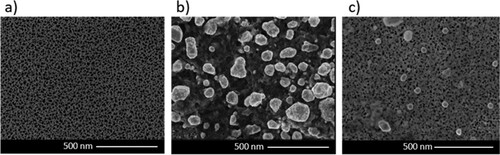 Figure 3. SEM images of (a) nPSi surface, (b) nPSi_Ag_1 mM surface, and (c) nPSi_Ag_2 mM.