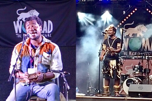 Figure 5. Msafiri Zawose performing at WOMAD 2017.