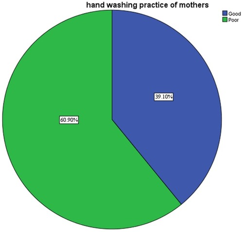 Figure 1 The proportion of hand washing practice of mothers in the study area, 2019.