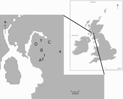 Figure 1. The location of four groups of sites in southwest Scotland at which Grasshopper Warblers were surveyed to assess which night-time period would detect the highest percentage of males (1–4) and four sites or site groups at which Grasshopper Warbler habitat occupancy was predicted (A–D). A and B were key sites, within 2 km of each of which were groups of near-key sites; C and D were groups of non-key sites. Site A and site 2 are the same.