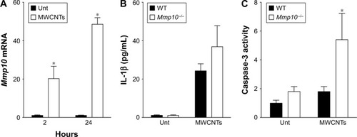 Figure 8 Mmp10 protects alveolar macrophages against inflammation and apoptosis post-MWCNT exposure.Notes: Alveolar macrophages were collected from naïve WT and Mmp10−/− mice (n=3/genotype) and treated with 100 µg/mL of MWCNTs. (A) qPCR was performed for Mmp10 mRNA after 2- and 24-h exposures. Conditioned media and cell lysates were collected at 24 h posttreatment and assayed for IL-1β (B) and caspase-3 activity (C). Data were analyzed by multiple t-test. *Significant change relative to WT control (A) or WT MWCNT-treated samples (C).Abbreviations: MWCNT, multiwalled carbon nanotube; qPCR, quantitative polymerase chain reaction; WT, wild-type; Unt, untreated.