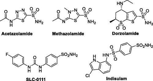 Figure 1. Structures of certain sulphonamide-based CAIs in clinical use and in clinical trials.