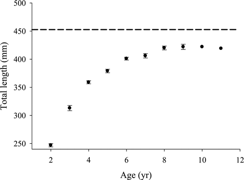 Figure 6 Mean length-at-age (mm) for smallmouth bass from Lake Sharpe, SD (2009). Horizontal dashed line represents 457 mm upper boundary of smallmouth bass protective slot limit.