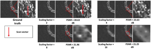 Figure 14. Predictions using inputs with different scaling factors.