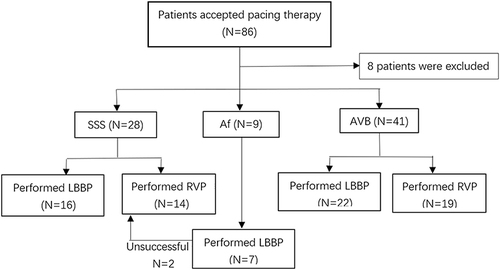 Figure 1 Flow chart of patients who accepted pacing therapy in our study. Reasons for exclusion: vascular occlusion, lead cannot be implanted/indication for cardiac resynchronization therapy (n=8).